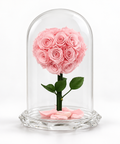 Soft pink rose arrangement with green leaves and scattered petals inside a clear glass dome on a decorative base.