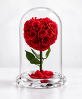 Soft red rose arrangement with green leaves and scattered petals inside a clear glass dome on a decorative base.
