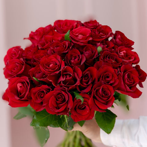 Lush bouquet of fresh long-stem red roses with vibrant petals, hand-held against a soft pink background – luxury flower bouquet Abu Dhabi.