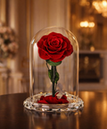 Luxury preserved red rose in glass dome on crystal base – romantic anniversary gift UAE