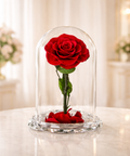 Luxury preserved red rose in glass dome on crystal base – romantic anniversary gift UAE