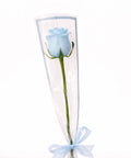 Single blue rose wrapped elegantly with ribbon on white background – romantic flower gift