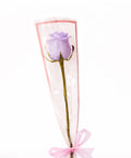 Single purple rose wrapped elegantly with ribbon on white background – romantic flower gift